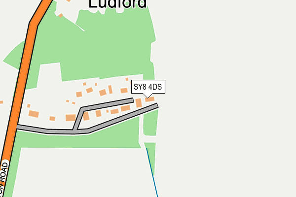 SY8 4DS map - OS OpenMap – Local (Ordnance Survey)