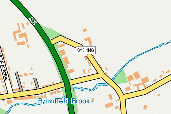 SY8 4NG map - OS OpenMap – Local (Ordnance Survey)