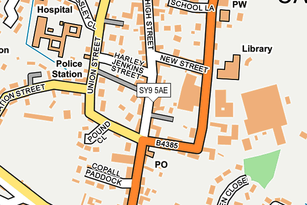 SY9 5AE map - OS OpenMap – Local (Ordnance Survey)