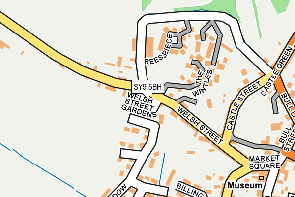 SY9 5BH map - OS OpenMap – Local (Ordnance Survey)