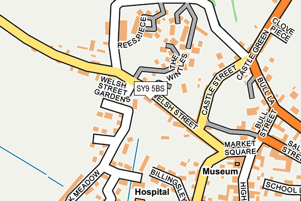 SY9 5BS map - OS OpenMap – Local (Ordnance Survey)