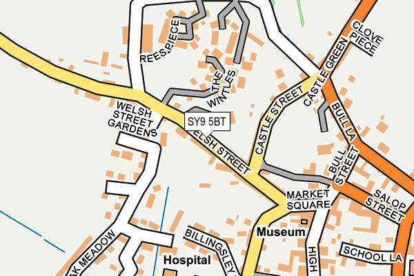 SY9 5BT map - OS OpenMap – Local (Ordnance Survey)