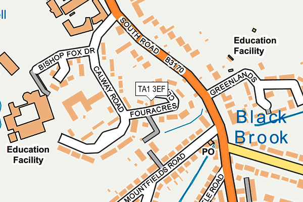 TA1 3EF map - OS OpenMap – Local (Ordnance Survey)