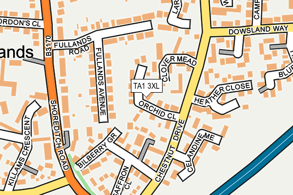 TA1 3XL map - OS OpenMap – Local (Ordnance Survey)