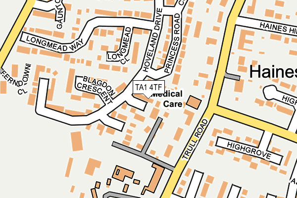 TA1 4TF map - OS OpenMap – Local (Ordnance Survey)