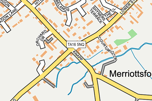TA16 5NQ map - OS OpenMap – Local (Ordnance Survey)