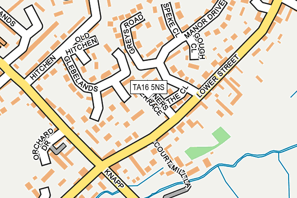 TA16 5NS map - OS OpenMap – Local (Ordnance Survey)