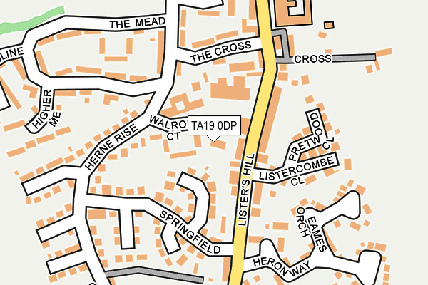 TA19 0DP map - OS OpenMap – Local (Ordnance Survey)