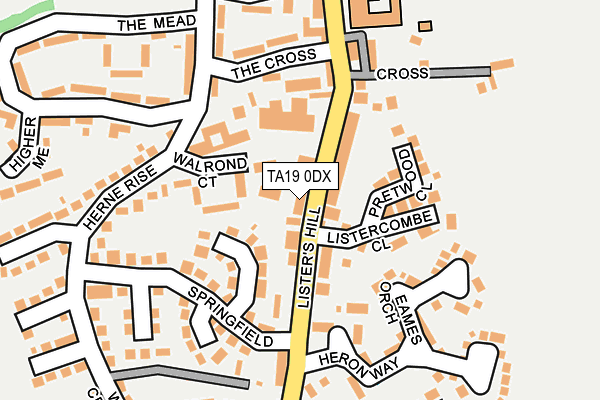 TA19 0DX map - OS OpenMap – Local (Ordnance Survey)