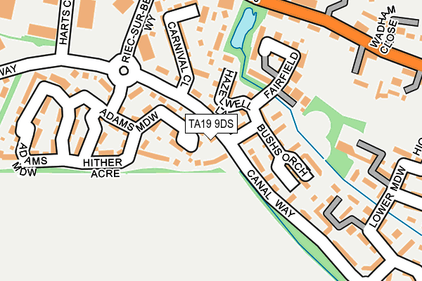 TA19 9DS map - OS OpenMap – Local (Ordnance Survey)