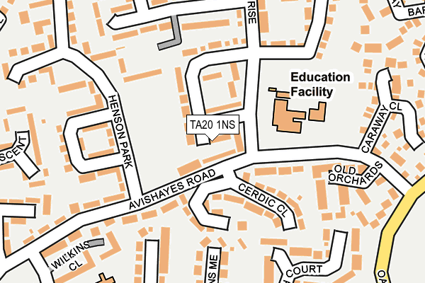 TA20 1NS map - OS OpenMap – Local (Ordnance Survey)