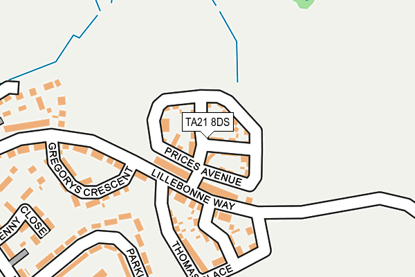 TA21 8DS map - OS OpenMap – Local (Ordnance Survey)