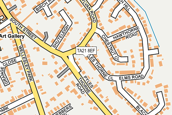 TA21 8EF map - OS OpenMap – Local (Ordnance Survey)