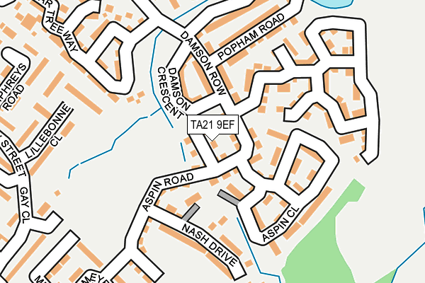 TA21 9EF map - OS OpenMap – Local (Ordnance Survey)