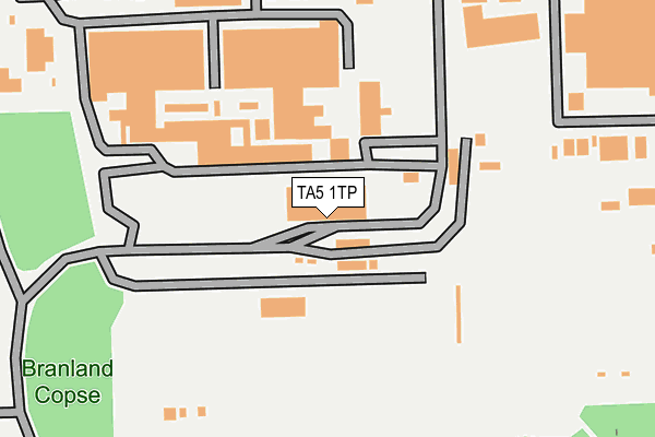 TA5 1TP map - OS OpenMap – Local (Ordnance Survey)