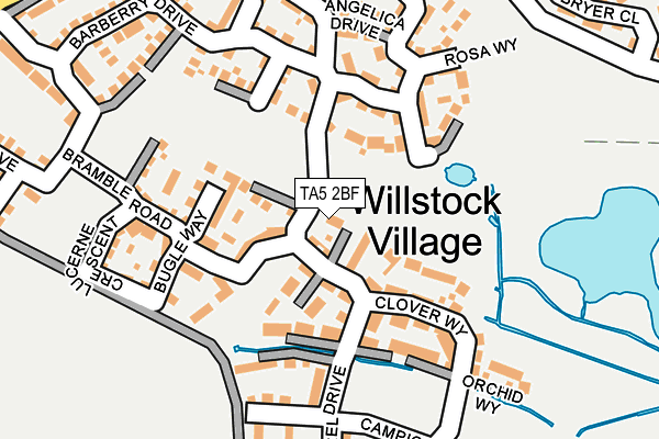 TA5 2BF map - OS OpenMap – Local (Ordnance Survey)