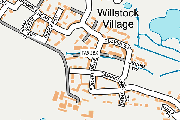 TA5 2BX map - OS OpenMap – Local (Ordnance Survey)