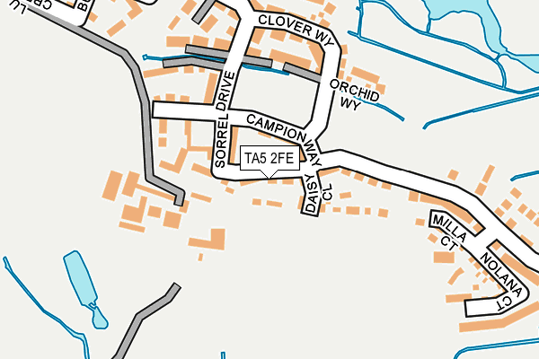 TA5 2FE map - OS OpenMap – Local (Ordnance Survey)