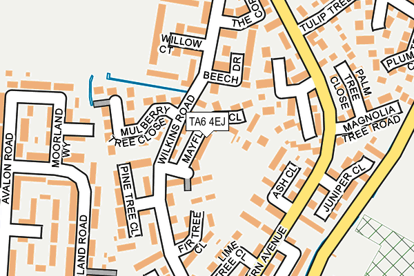 TA6 4EJ map - OS OpenMap – Local (Ordnance Survey)