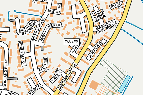 TA6 4EP map - OS OpenMap – Local (Ordnance Survey)