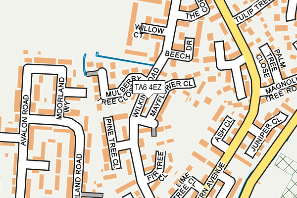 TA6 4EZ map - OS OpenMap – Local (Ordnance Survey)