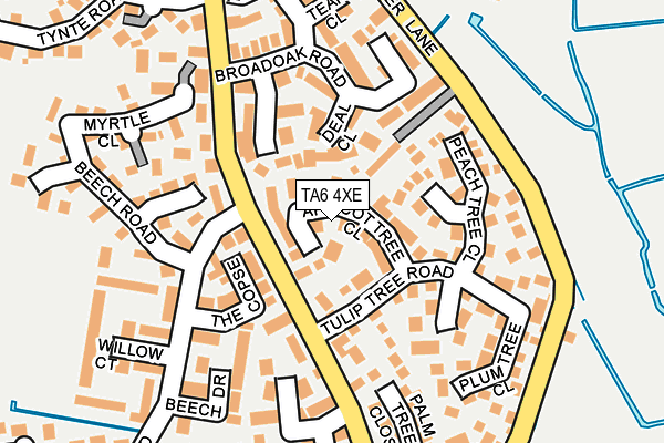 TA6 4XE map - OS OpenMap – Local (Ordnance Survey)