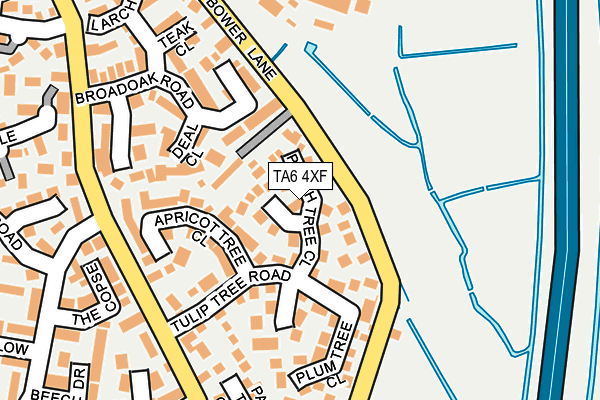TA6 4XF map - OS OpenMap – Local (Ordnance Survey)