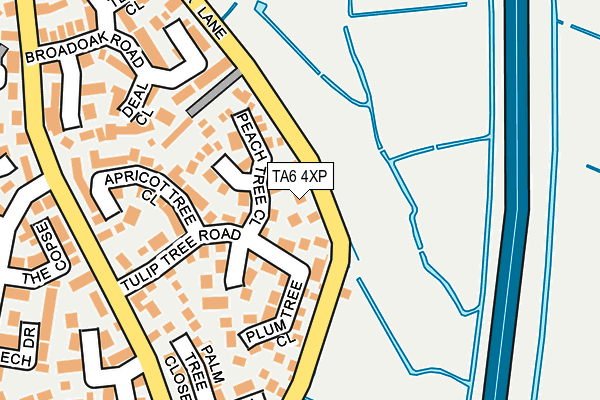 TA6 4XP map - OS OpenMap – Local (Ordnance Survey)