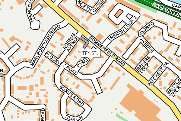 TF1 5TJ map - OS OpenMap – Local (Ordnance Survey)