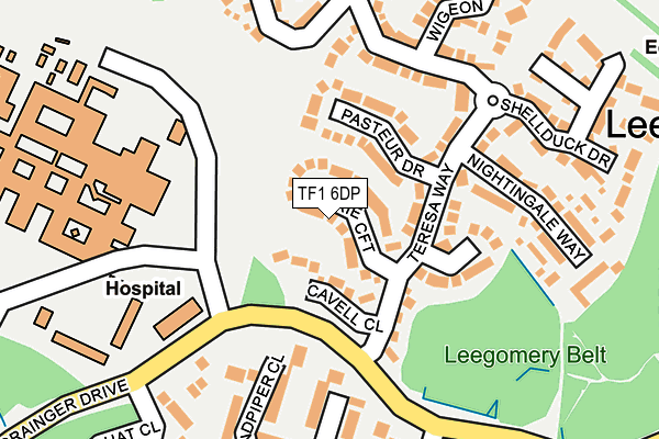 TF1 6DP map - OS OpenMap – Local (Ordnance Survey)