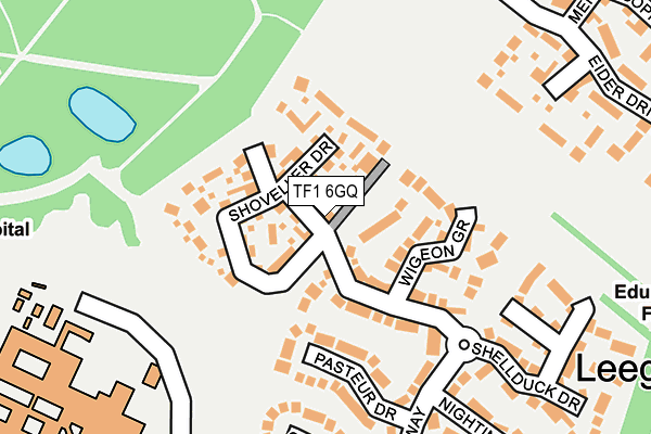 TF1 6GQ map - OS OpenMap – Local (Ordnance Survey)