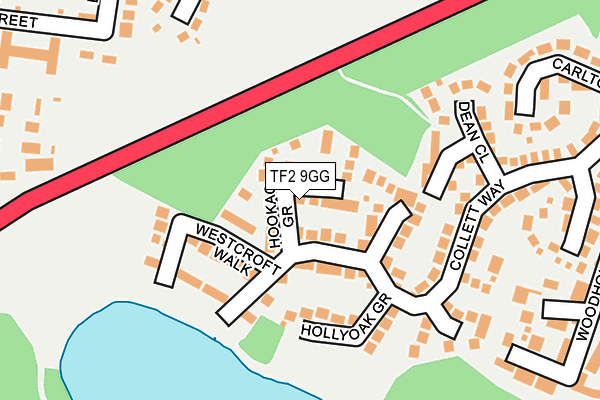 TF2 9GG map - OS OpenMap – Local (Ordnance Survey)