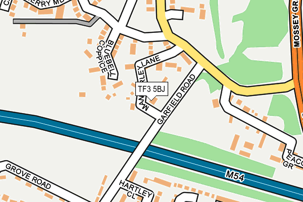 TF3 5BJ map - OS OpenMap – Local (Ordnance Survey)