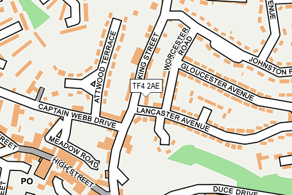 TF4 2AE map - OS OpenMap – Local (Ordnance Survey)