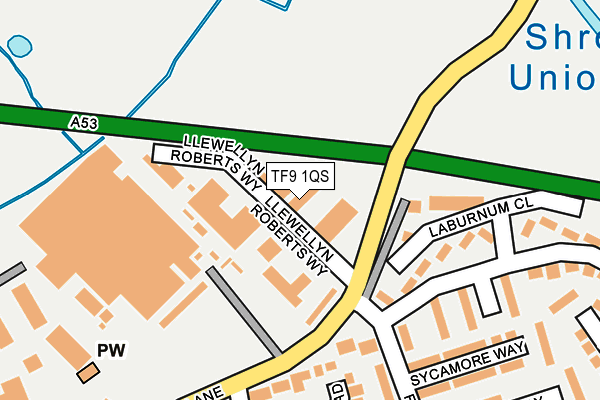 TF9 1QS map - OS OpenMap – Local (Ordnance Survey)