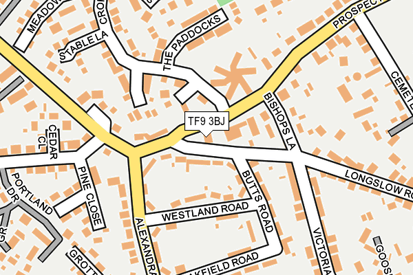 TF9 3BJ map - OS OpenMap – Local (Ordnance Survey)