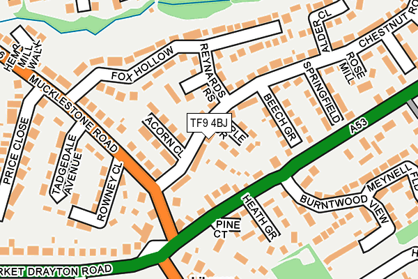 TF9 4BJ map - OS OpenMap – Local (Ordnance Survey)