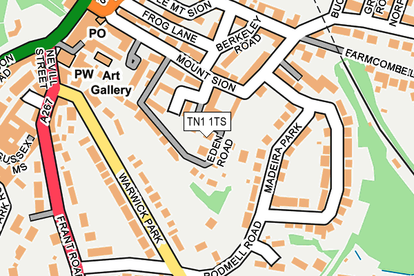 TN1 1TS map - OS OpenMap – Local (Ordnance Survey)