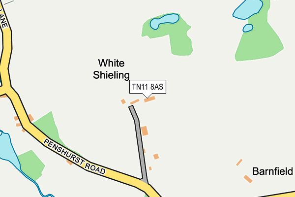 TN11 8AS map - OS OpenMap – Local (Ordnance Survey)