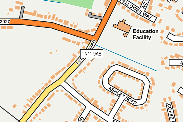 TN11 9AE map - OS OpenMap – Local (Ordnance Survey)