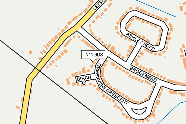 TN11 9DS map - OS OpenMap – Local (Ordnance Survey)