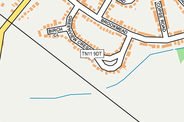 TN11 9DT map - OS OpenMap – Local (Ordnance Survey)