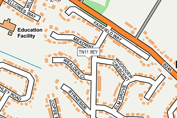 TN11 9EY map - OS OpenMap – Local (Ordnance Survey)