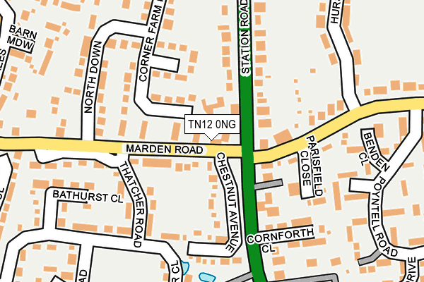TN12 0NG map - OS OpenMap – Local (Ordnance Survey)