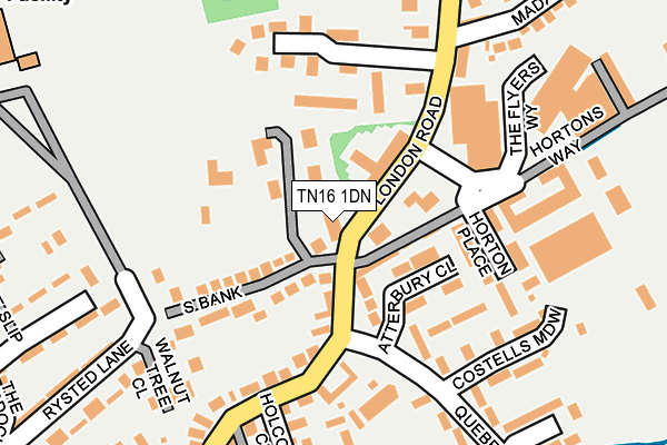 TN16 1DN map - OS OpenMap – Local (Ordnance Survey)