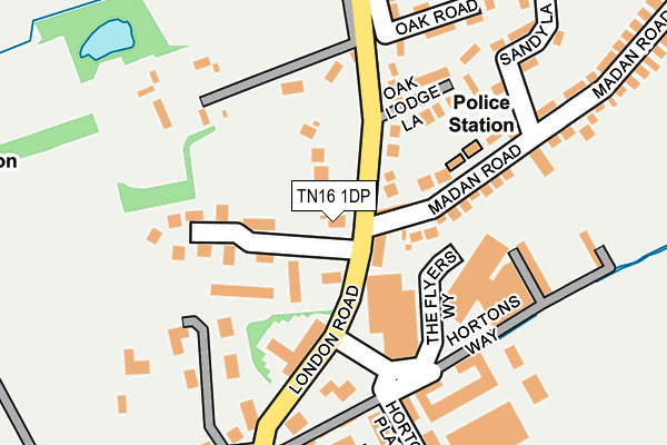 TN16 1DP map - OS OpenMap – Local (Ordnance Survey)