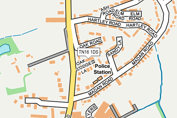 TN16 1DS map - OS OpenMap – Local (Ordnance Survey)
