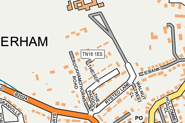 TN16 1ES map - OS OpenMap – Local (Ordnance Survey)