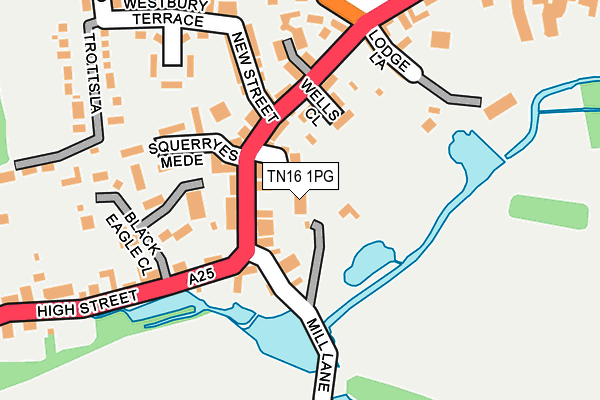 TN16 1PG map - OS OpenMap – Local (Ordnance Survey)