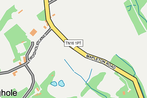 TN16 1PT map - OS OpenMap – Local (Ordnance Survey)